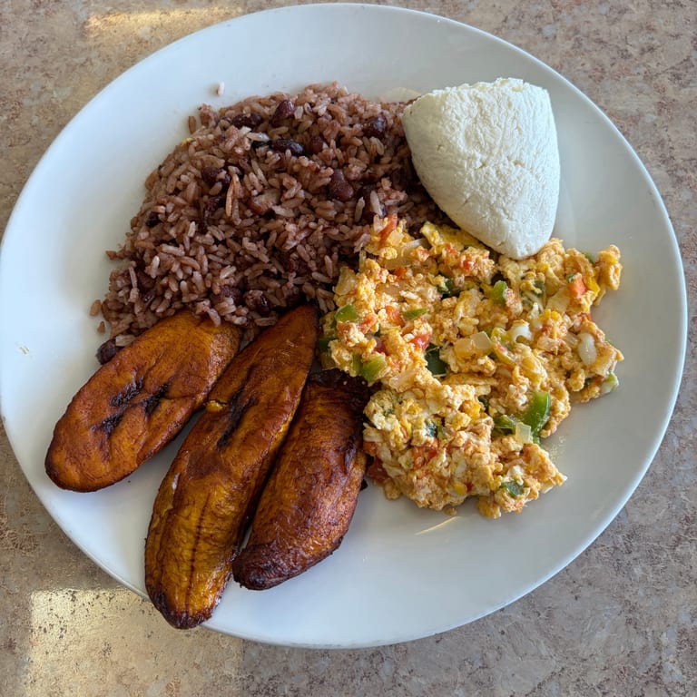 Savor Our Lunch Offerings